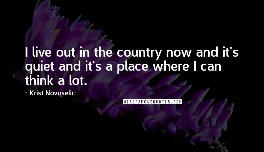 Krist Novoselic quotes: I live out in the country now and it's quiet and it's a place where I can think a lot.