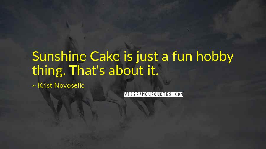 Krist Novoselic quotes: Sunshine Cake is just a fun hobby thing. That's about it.