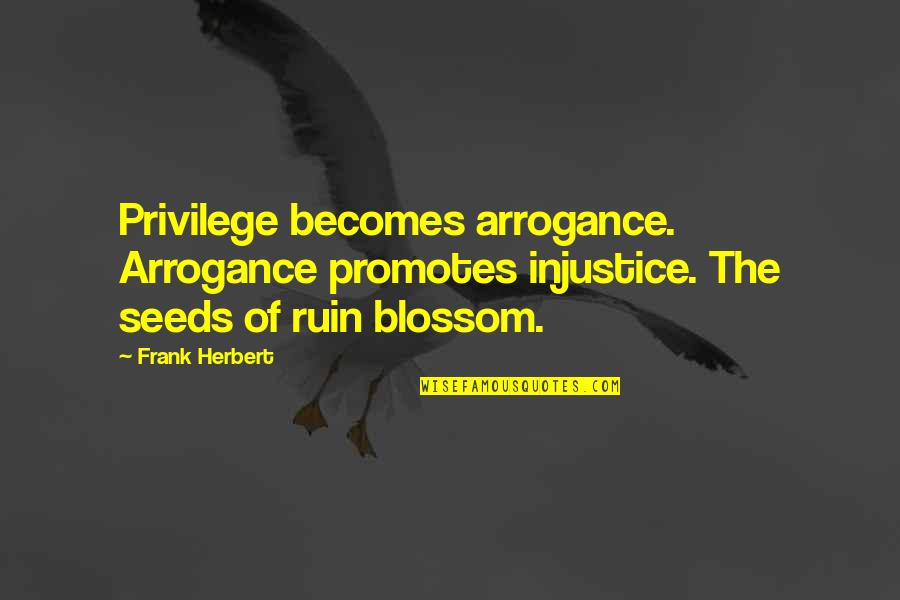 Kristeler Quotes By Frank Herbert: Privilege becomes arrogance. Arrogance promotes injustice. The seeds