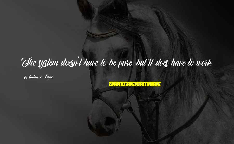 Kristella Chandelier Quotes By Aminu Kano: The system doesn't have to be pure, but