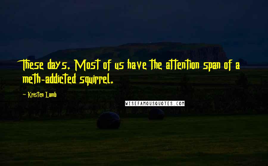 Kristen Lamb quotes: These days. Most of us have the attention span of a meth-addicted squirrel.