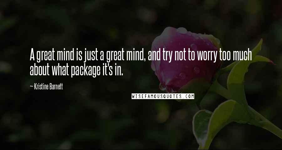 Kristine Barnett quotes: A great mind is just a great mind, and try not to worry too much about what package it's in.