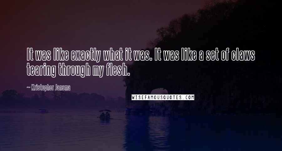 Kristopher Jansma quotes: It was like exactly what it was. It was like a set of claws tearing through my flesh.