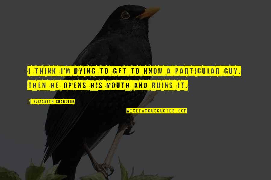 Kristufek Mandolin Quotes By Elizabeth Chandler: I think I'm dying to get to know Kristufek Mandolin Quotes By Elizabeth Chandler: I think I'm dying to get to know