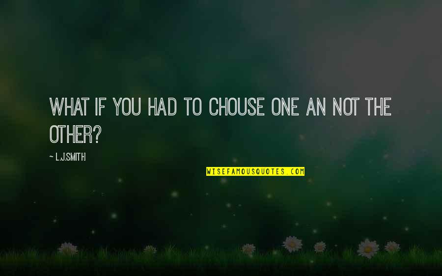 Kritizov N Quotes By L.J.Smith: what if you had to chouse one an