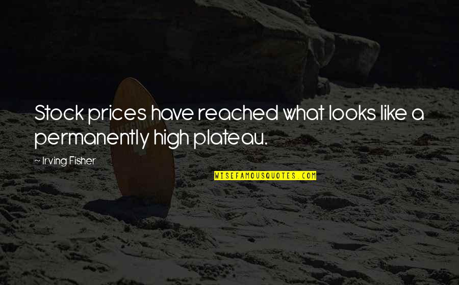 Kriza Zsigmond Quotes By Irving Fisher: Stock prices have reached what looks like a
