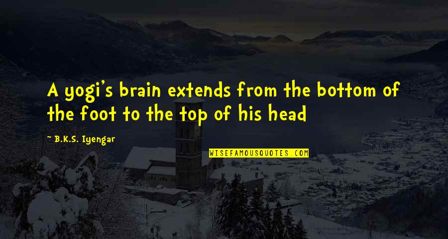 Krna Live Quotes By B.K.S. Iyengar: A yogi's brain extends from the bottom of