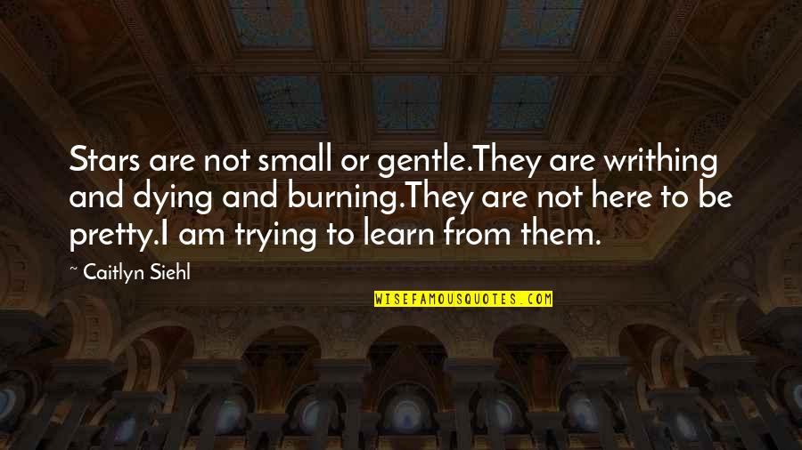 Krochmalska Joanna Quotes By Caitlyn Siehl: Stars are not small or gentle.They are writhing Krochmalska Joanna Quotes By Caitlyn Siehl: Stars are not small or gentle.They are writhing