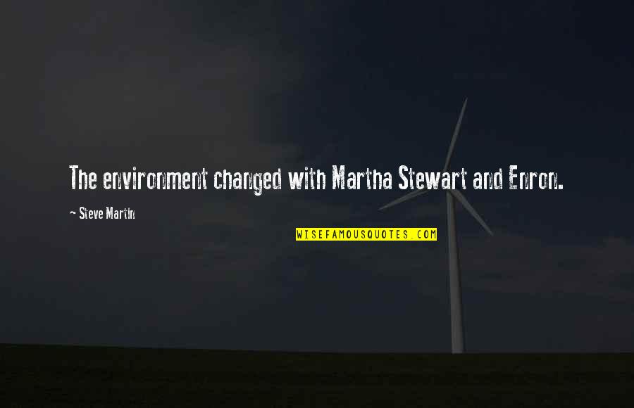 Krogh Quotes By Steve Martin: The environment changed with Martha Stewart and Enron.