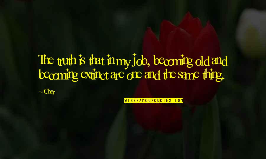 Krone Quotes By Cher: The truth is that in my job, becoming