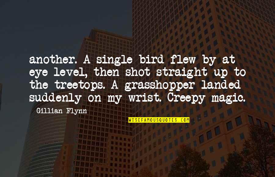 Kronika Te Quotes By Gillian Flynn: another. A single bird flew by at eye