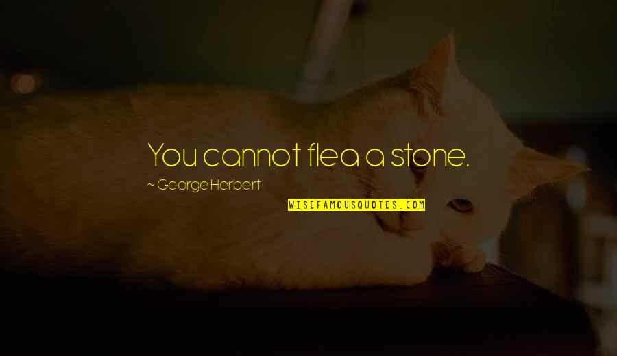 Kronsberger Quotes By George Herbert: You cannot flea a stone.