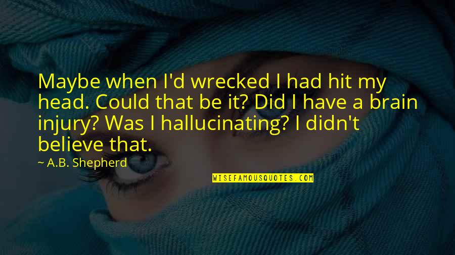 Kronthaler Quotes By A.B. Shepherd: Maybe when I'd wrecked I had hit my Kronthaler Quotes By A.B. Shepherd: Maybe when I'd wrecked I had hit my