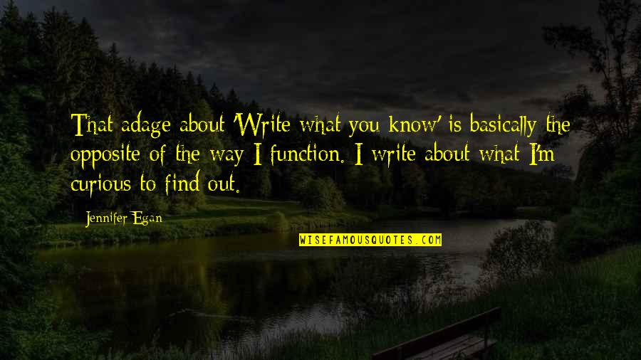 Krotov Apparatus Quotes By Jennifer Egan: That adage about 'Write what you know' is