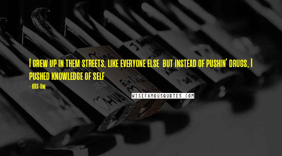 KRS-One quotes: I grew up in them streets, like everyone else but instead of pushin' drugs, I pushed knowledge of self