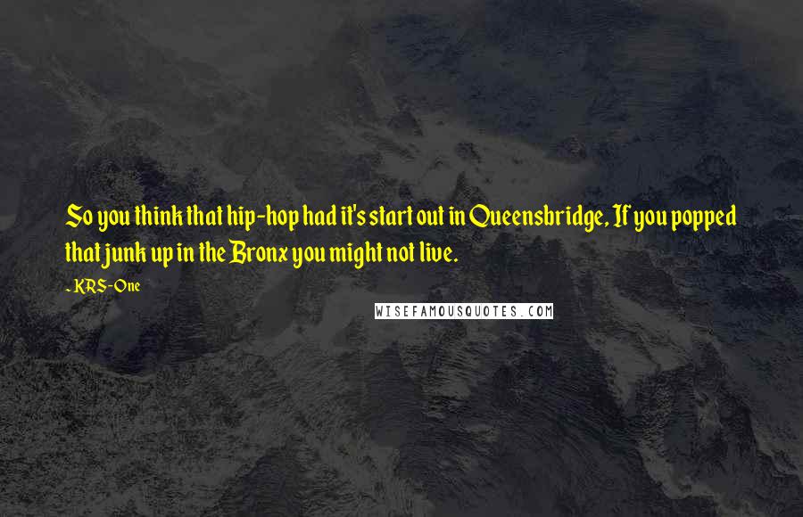 KRS-One quotes: So you think that hip-hop had it's start out in Queensbridge, If you popped that junk up in the Bronx you might not live.