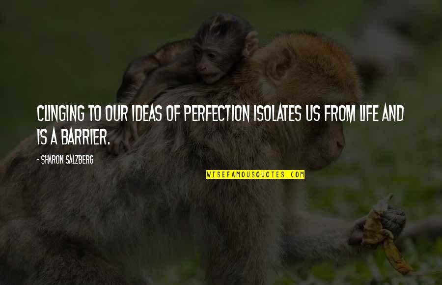Krummlauf Gun Quotes By Sharon Salzberg: Clinging to our ideas of perfection isolates us