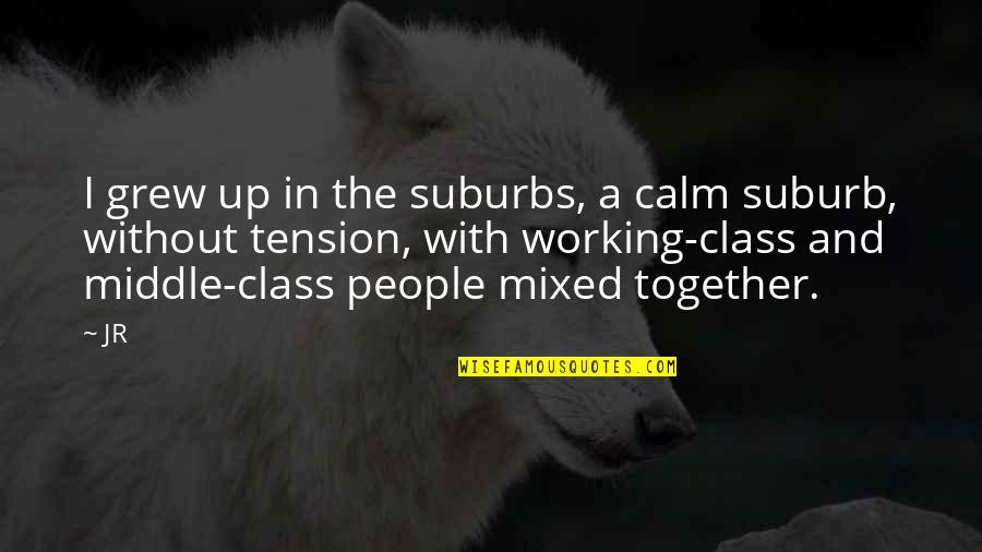 Kryspin W Quotes By JR: I grew up in the suburbs, a calm