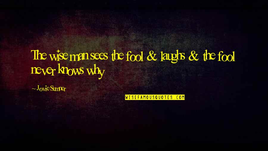 Krystal Investment Quotes By Jovie Sumner: The wise man sees the fool & laughs