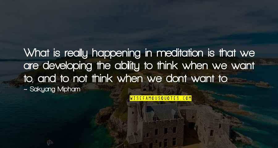 Kryvicy Quotes By Sakyong Mipham: What is really happening in meditation is that