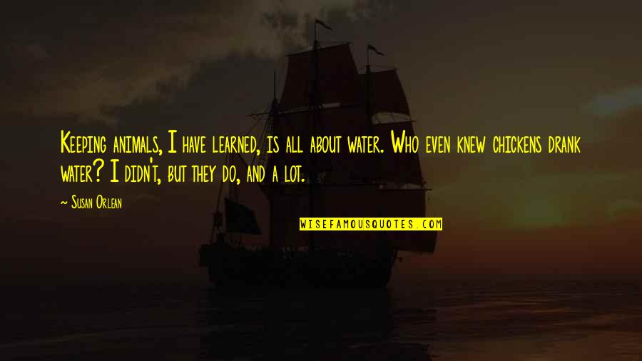 Ksebbill Quotes By Susan Orlean: Keeping animals, I have learned, is all about Ksebbill Quotes By Susan Orlean: Keeping animals, I have learned, is all about