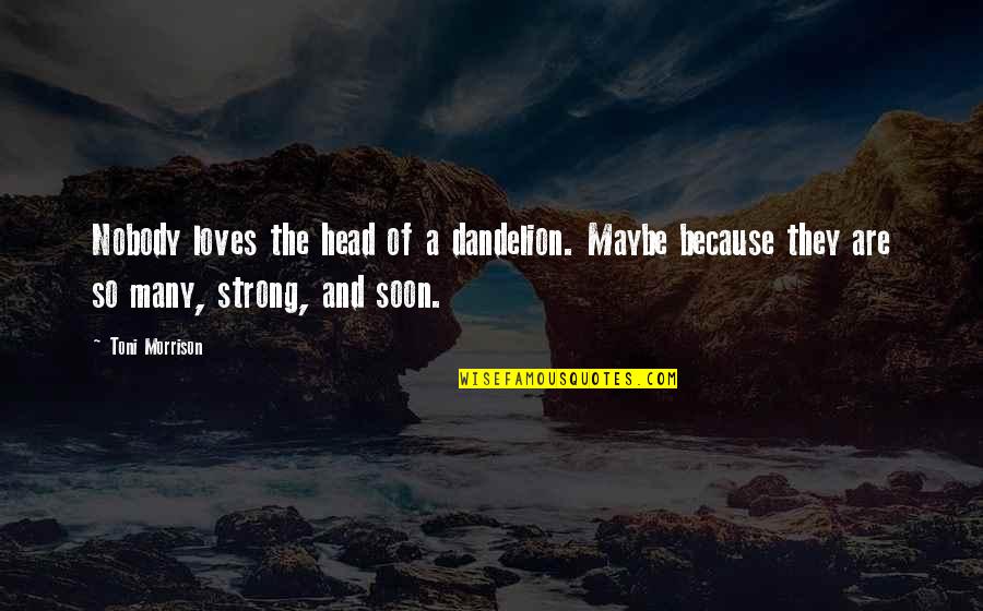 Kshatriya Pronunciation Quotes By Toni Morrison: Nobody loves the head of a dandelion. Maybe Kshatriya Pronunciation Quotes By Toni Morrison: Nobody loves the head of a dandelion. Maybe