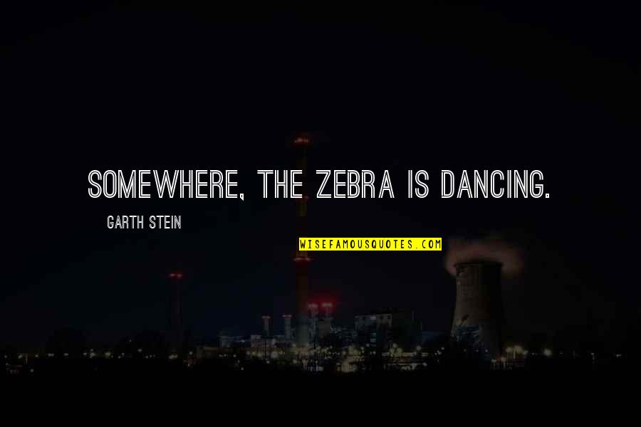 Ktm 390 Quotes By Garth Stein: Somewhere, the zebra is dancing.