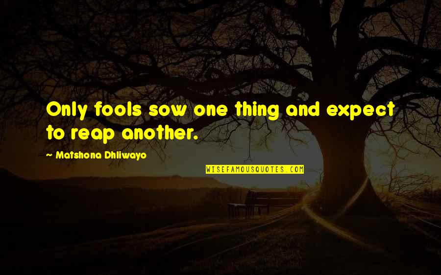 Ktm Quotes And Quotes By Matshona Dhliwayo: Only fools sow one thing and expect to