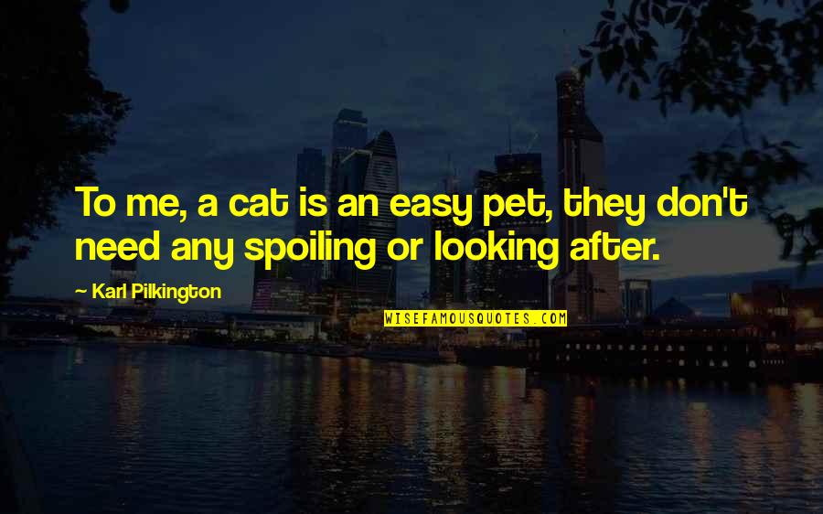 Kubiak Pools Quotes By Karl Pilkington: To me, a cat is an easy pet,