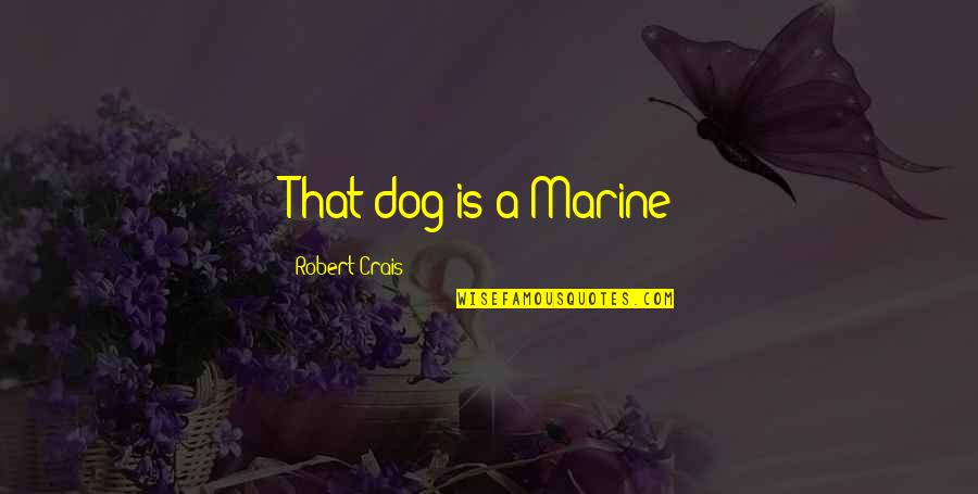Kubiks Quotes By Robert Crais: That dog is a Marine! Kubiks Quotes By Robert Crais: That dog is a Marine!