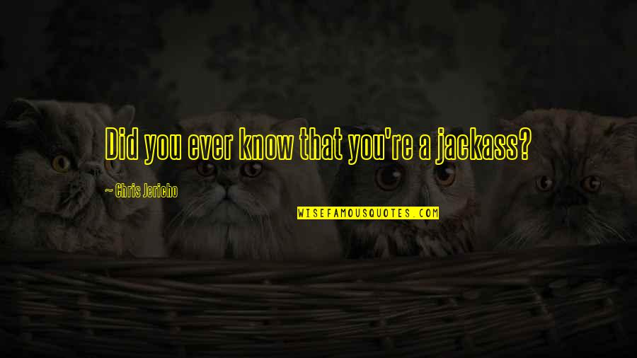 Kuboandlucy Quotes By Chris Jericho: Did you ever know that you're a jackass? Kuboandlucy Quotes By Chris Jericho: Did you ever know that you're a jackass?