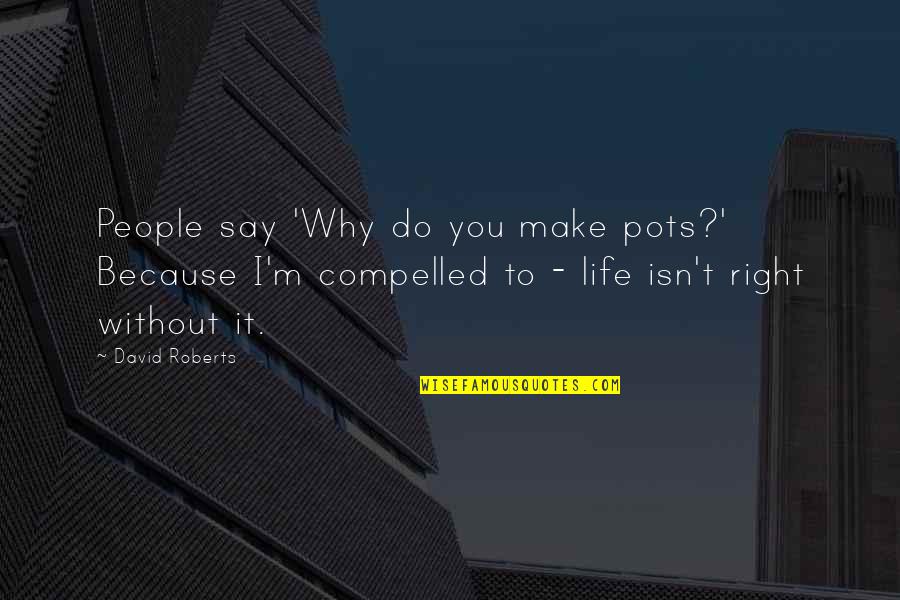Kuboyama Ramen Quotes By David Roberts: People say 'Why do you make pots?' Because Kuboyama Ramen Quotes By David Roberts: People say 'Why do you make pots?' Because