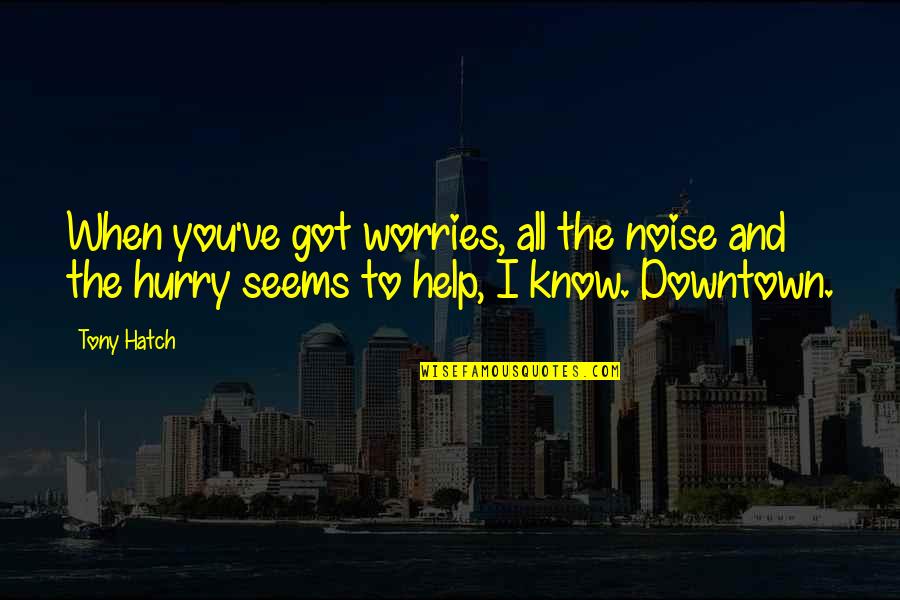 Kuczynski Hauling Quotes By Tony Hatch: When you've got worries, all the noise and