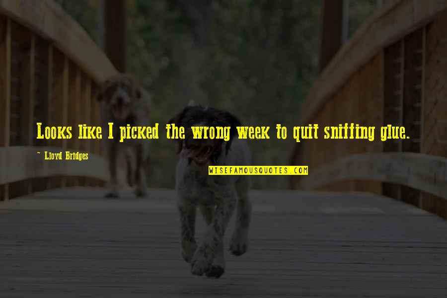 Kudelka Photography Quotes By Lloyd Bridges: Looks like I picked the wrong week to Kudelka Photography Quotes By Lloyd Bridges: Looks like I picked the wrong week to