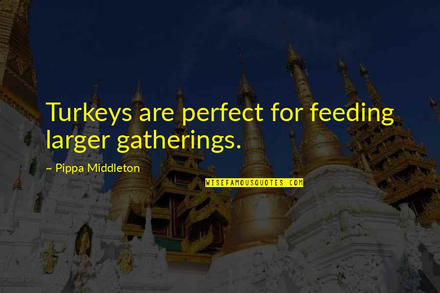 Kudelko Country Quotes By Pippa Middleton: Turkeys are perfect for feeding larger gatherings. Kudelko Country Quotes By Pippa Middleton: Turkeys are perfect for feeding larger gatherings.