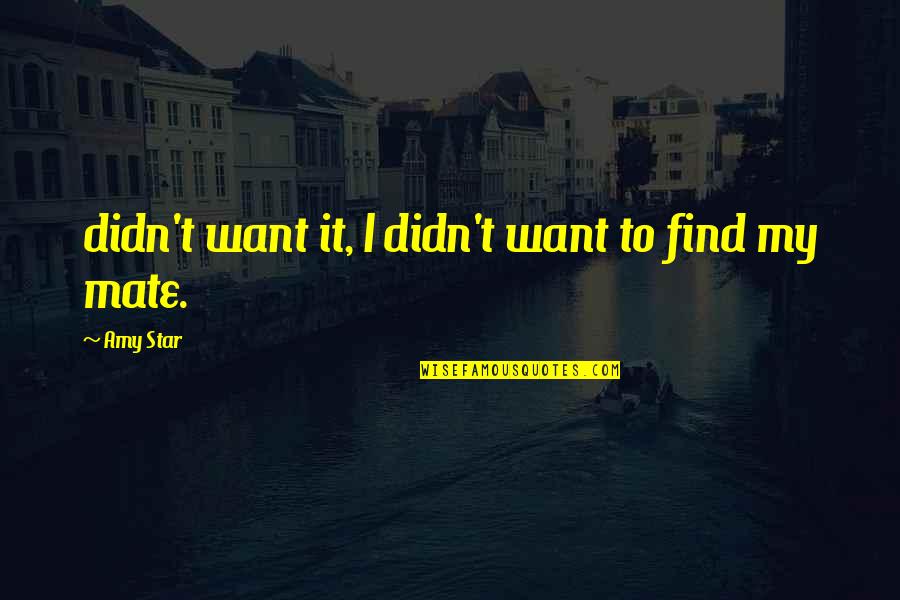 Kuhu Saha Quotes By Amy Star: didn't want it, I didn't want to find