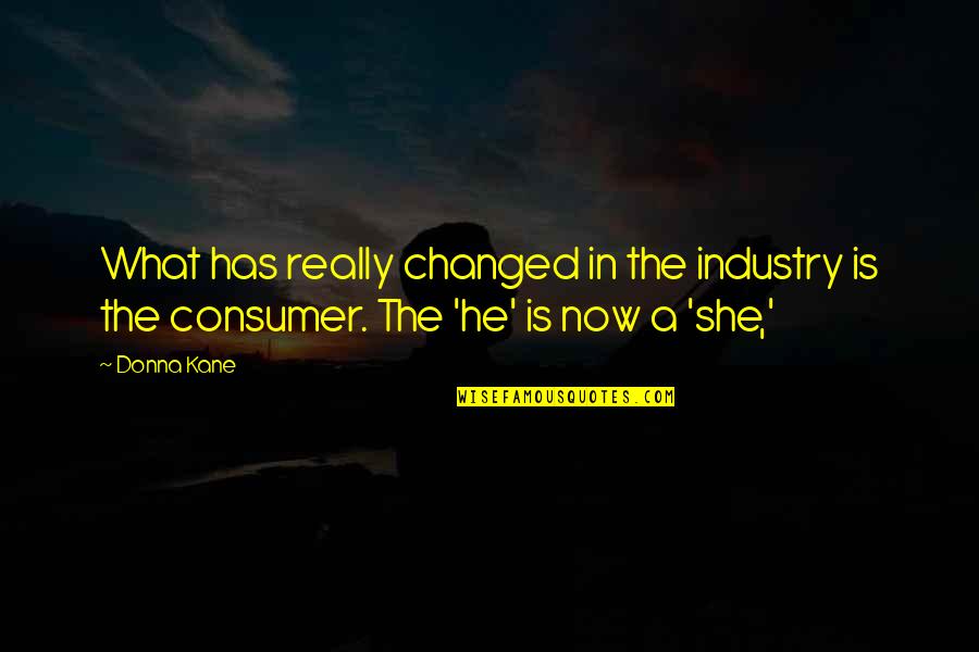 Kuislet Quotes By Donna Kane: What has really changed in the industry is