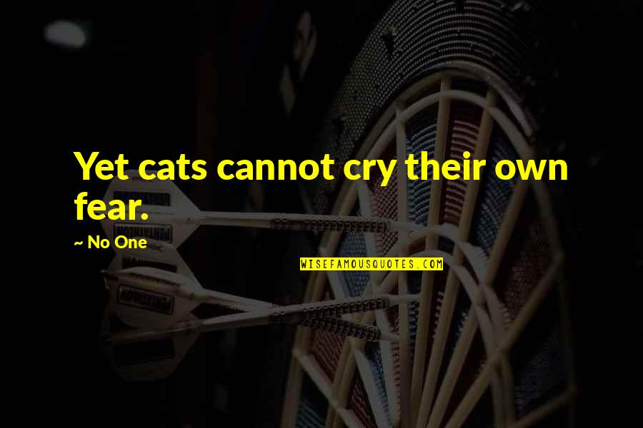 Kuivati Quotes By No One: Yet cats cannot cry their own fear.
