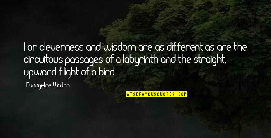 Kujenga Maisha Quotes By Evangeline Walton: For cleverness and wisdom are as different as
