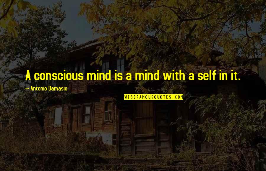 Kukura Game Quotes By Antonio Damasio: A conscious mind is a mind with a