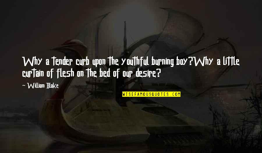 Kulaks Quotes By William Blake: Why a tender curb upon the youthful burning Kulaks Quotes By William Blake: Why a tender curb upon the youthful burning