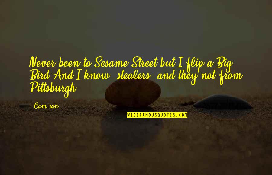 Kuldeep Pawar Quotes By Cam'ron: Never been to Sesame Street but I flip