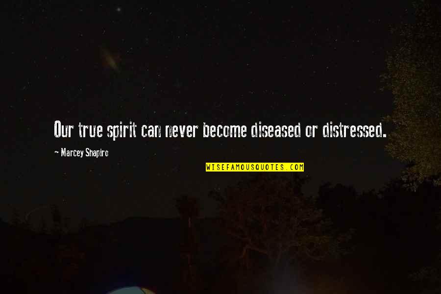 Kullannuppu Quotes By Marcey Shapiro: Our true spirit can never become diseased or Kullannuppu Quotes By Marcey Shapiro: Our true spirit can never become diseased or