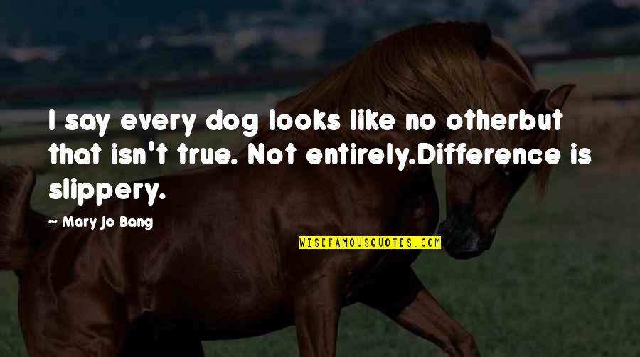 Kullik Rullmann Quotes By Mary Jo Bang: I say every dog looks like no otherbut Kullik Rullmann Quotes By Mary Jo Bang: I say every dog looks like no otherbut