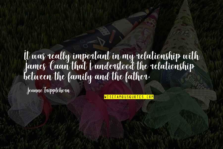 Kulmbacher Eku Quotes By Jeanne Tripplehorn: It was really important in my relationship with