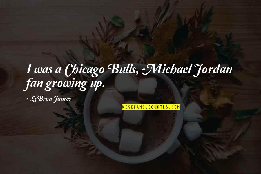 Kum Gang San Flushing Quotes By LeBron James: I was a Chicago Bulls, Michael Jordan fan