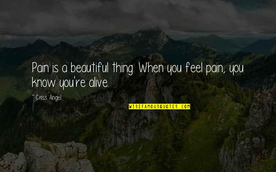 Kumalo Primary Quotes By Criss Angel: Pain is a beautiful thing. When you feel