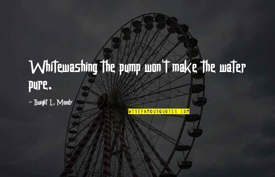 Kumming Quotes By Dwight L. Moody: Whitewashing the pump won't make the water pure. Kumming Quotes By Dwight L. Moody: Whitewashing the pump won't make the water pure.