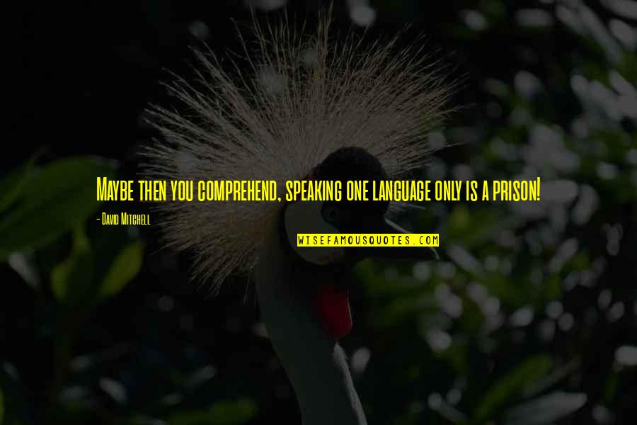 Kundosh Quotes By David Mitchell: Maybe then you comprehend, speaking one language only
