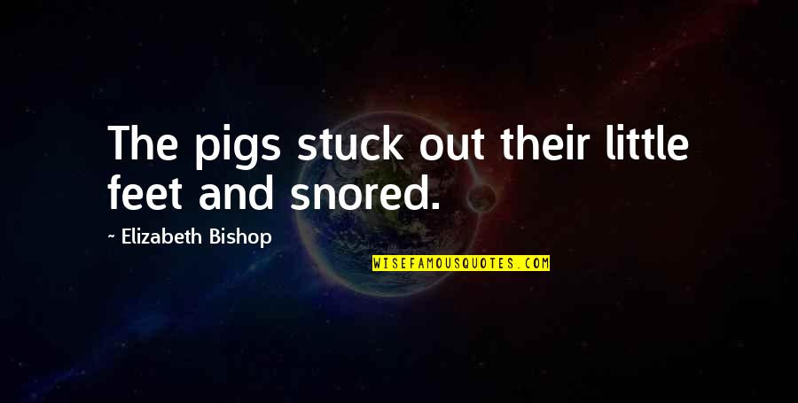 Kung Pao Quotes By Elizabeth Bishop: The pigs stuck out their little feet and Kung Pao Quotes By Elizabeth Bishop: The pigs stuck out their little feet and